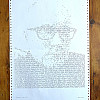 IMG 9446