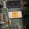 IMG 3977D