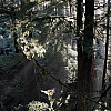 0b7b685d04295163