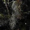 1387043306d070e6